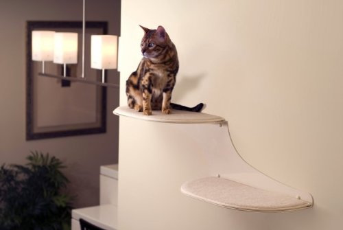 Cat clearance cloud shelf
