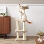 AmazonBasics Cat Tree With Scratching Posts